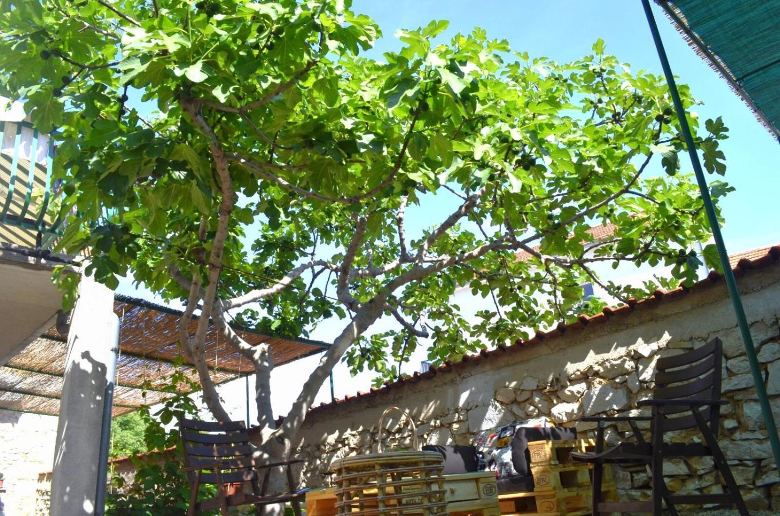 Apartmani Spanja Vodice Extérieur photo